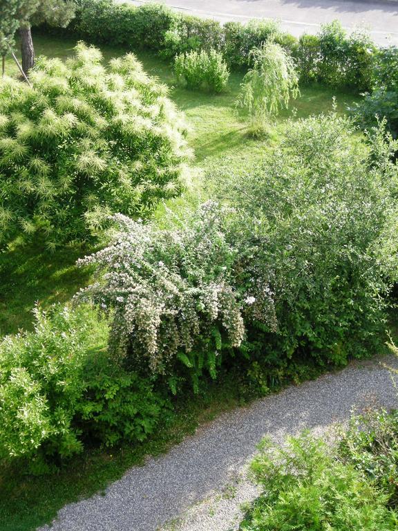 Aux Berges De La Thur Staffelfelden Zewnętrze zdjęcie